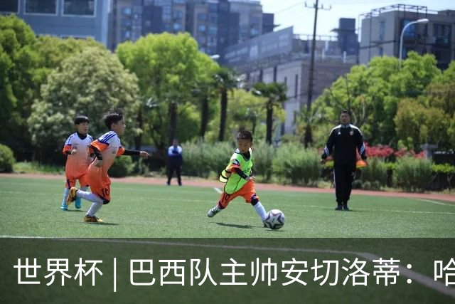 世界杯 | 巴西队主帅安切洛蒂：哈兰德决定了比赛胜负