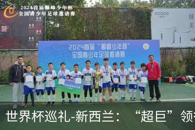 世界杯巡礼-新西兰：“超巨”领衔平民军团，小组突围不是梦！