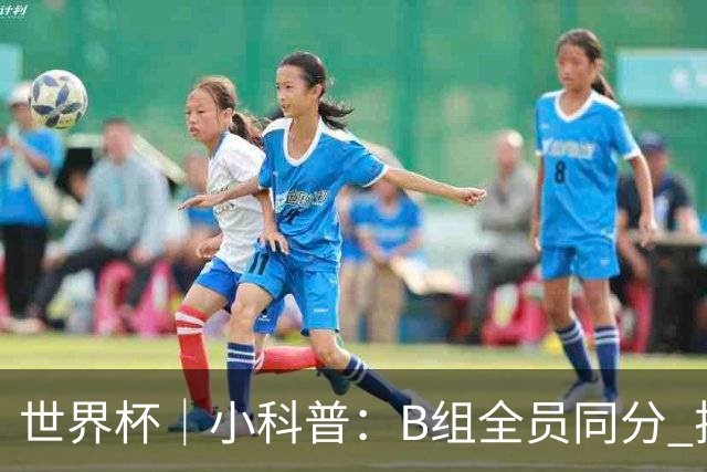 世界杯｜小科普：B组全员同分 排名“算法”差点不够用