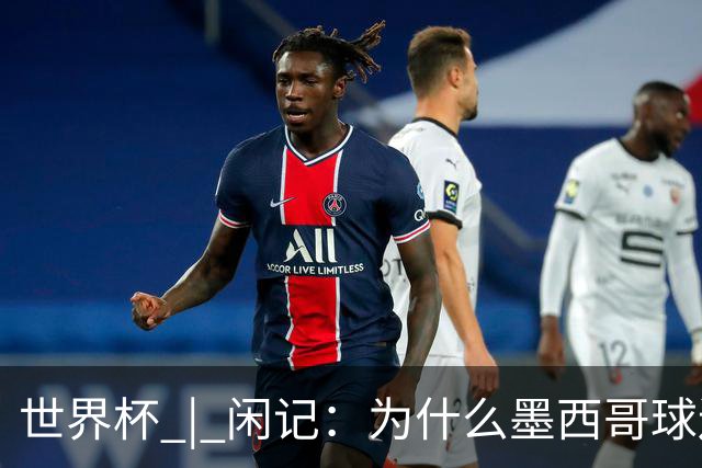 世界杯 | 闲记：为什么墨西哥球迷总劝人别哭