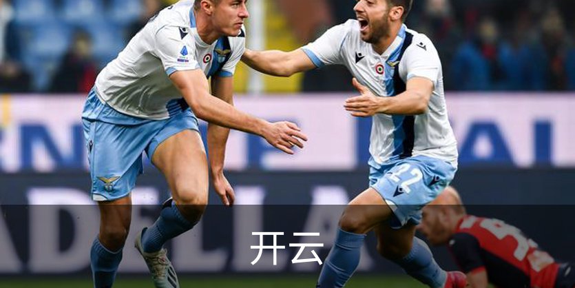 了解开云