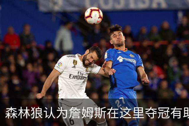 森林狼认为詹姆斯在这里夺冠有助于GOAT之争 其他下家都拿过冠军