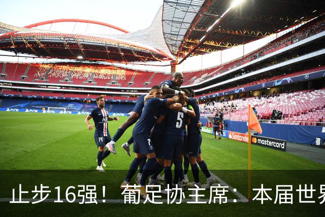 止步16强！葡足协主席：本届世界杯远未达目标 希望周末敲定新帅