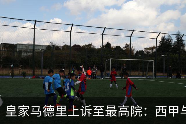 皇家马德里上诉至最高院：西甲与私募资本交易的世纪博弈