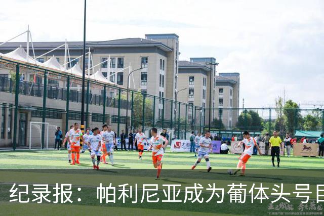 纪录报：帕利尼亚成为葡体头号目标，希望在新赛季开始前敲定交易