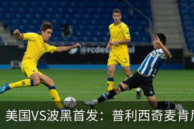 美国VS波黑首发：普利西奇麦肯尼先发 哲科出战