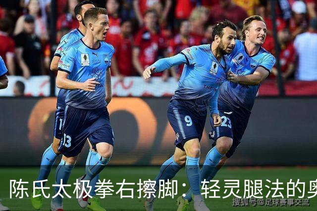 陈氏太极拳右擦脚：轻灵腿法的奥秘，上分下击，擦劲制敌