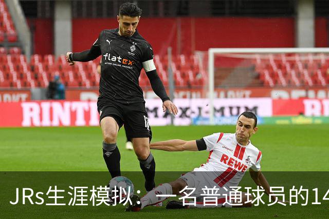 JRs生涯模拟：一名普通球员的14年
